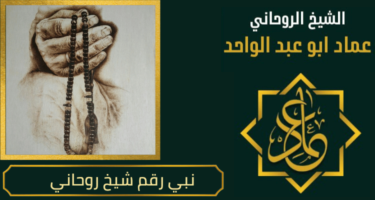 نبي رقم شيخ روحاني